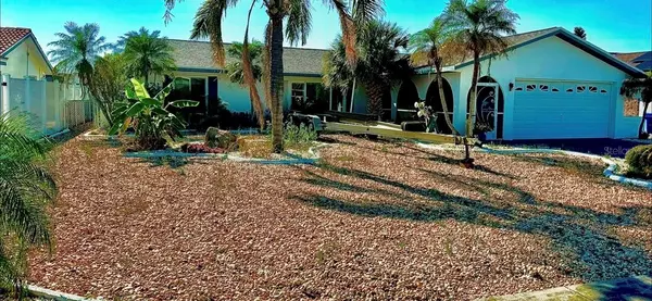 Apollo Beach, FL 33572,6526 SENEGAL PALM WAY