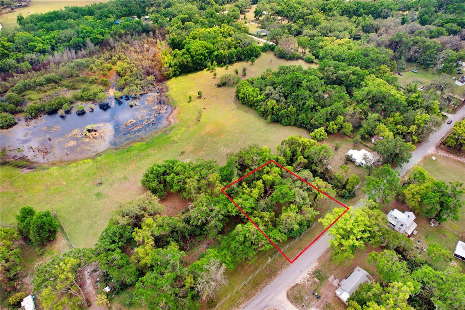 Dade City, FL 33523,0 TRILBY RD