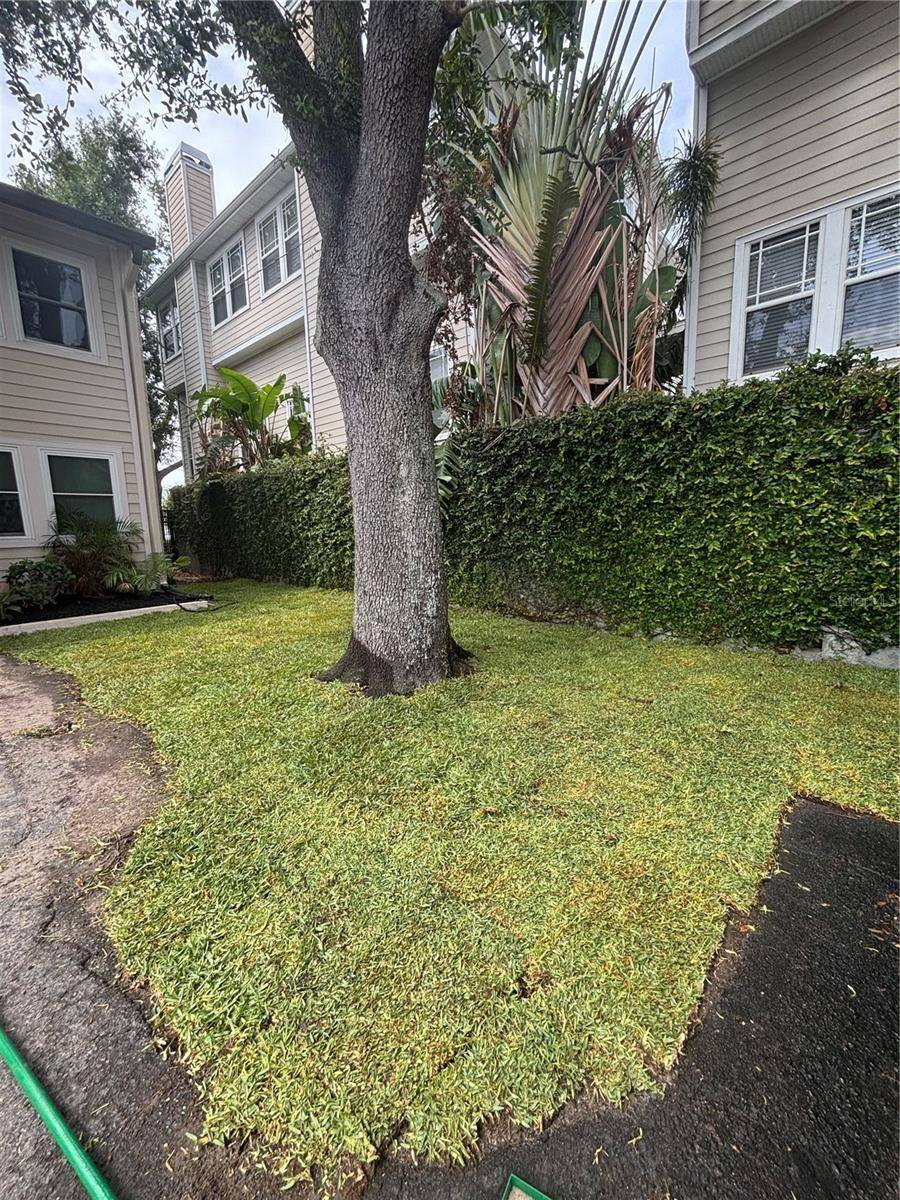 Tampa, FL 33609,527 S LINCOLN AVE #A108
