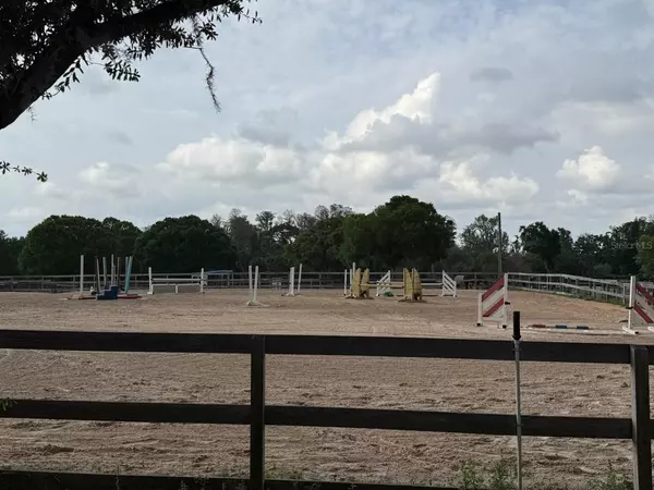 Odessa, FL 33556,16315 MCGLAMERY RD