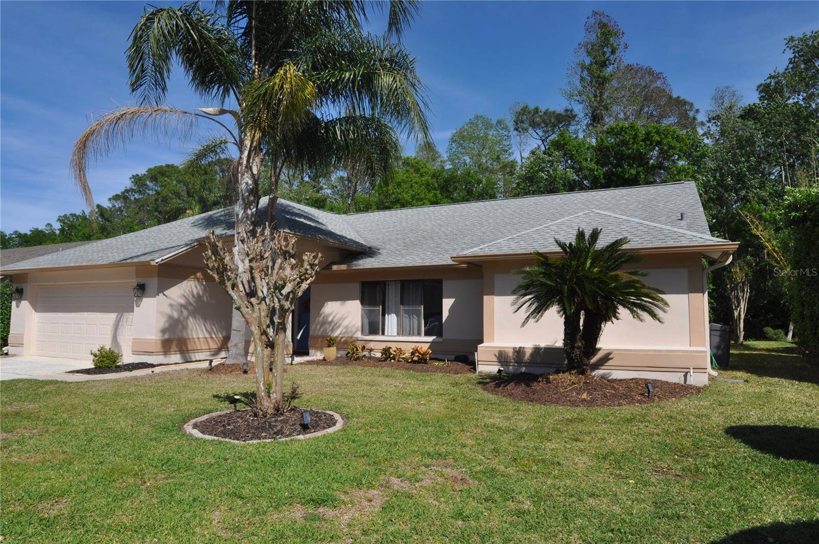 Palm Harbor, FL 34685,3189 ROXMERE DR