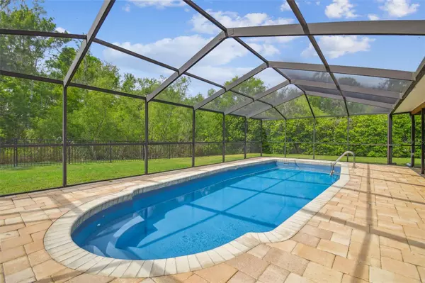 Lutz, FL 33559,4555 DEBBIE LN