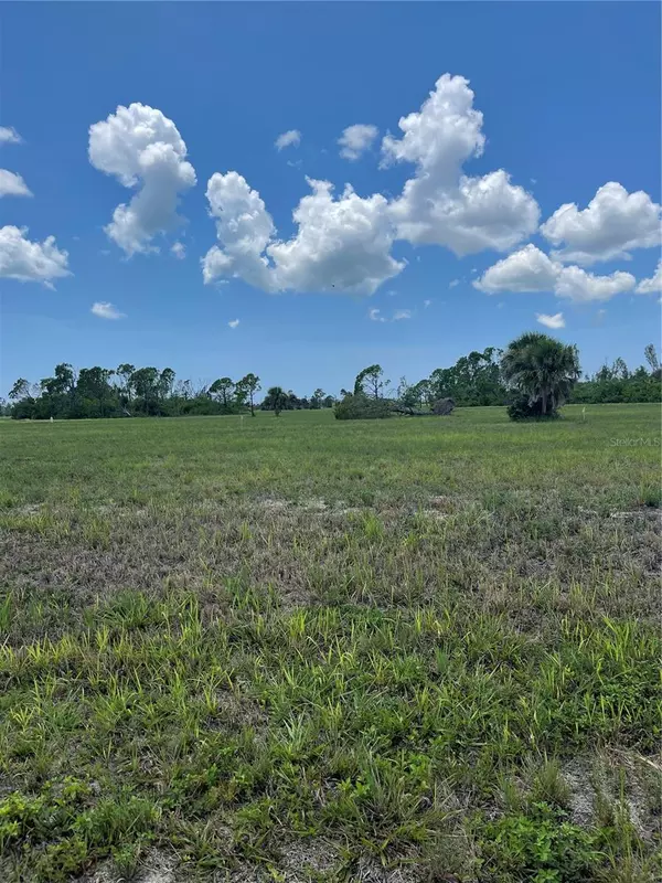Placida, FL 33946,12455 BLUE MARLIN RD