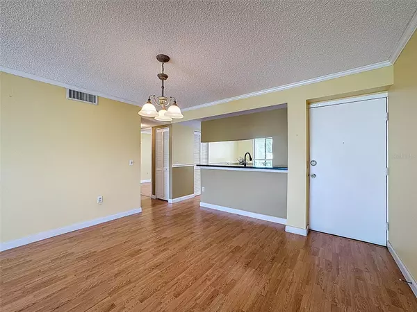 Oldsmar, FL 34677,110 W CYPRESS CT