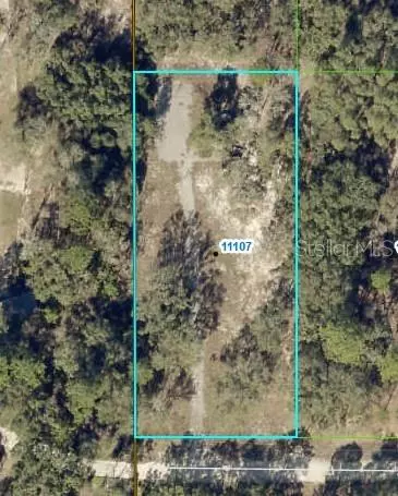 Weeki Wachee, FL 34614,11103 SNOW LARK AVE