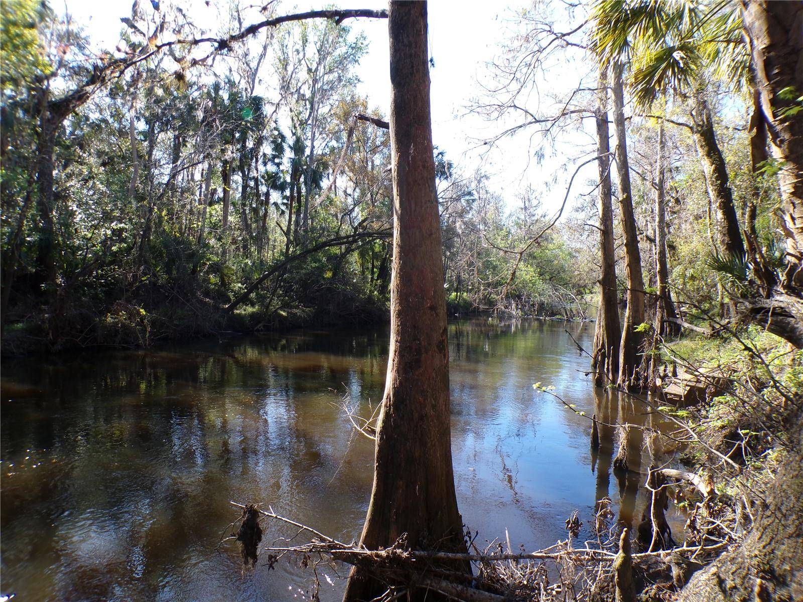 Valrico, FL 33596,4405 COCONUT COVE PL