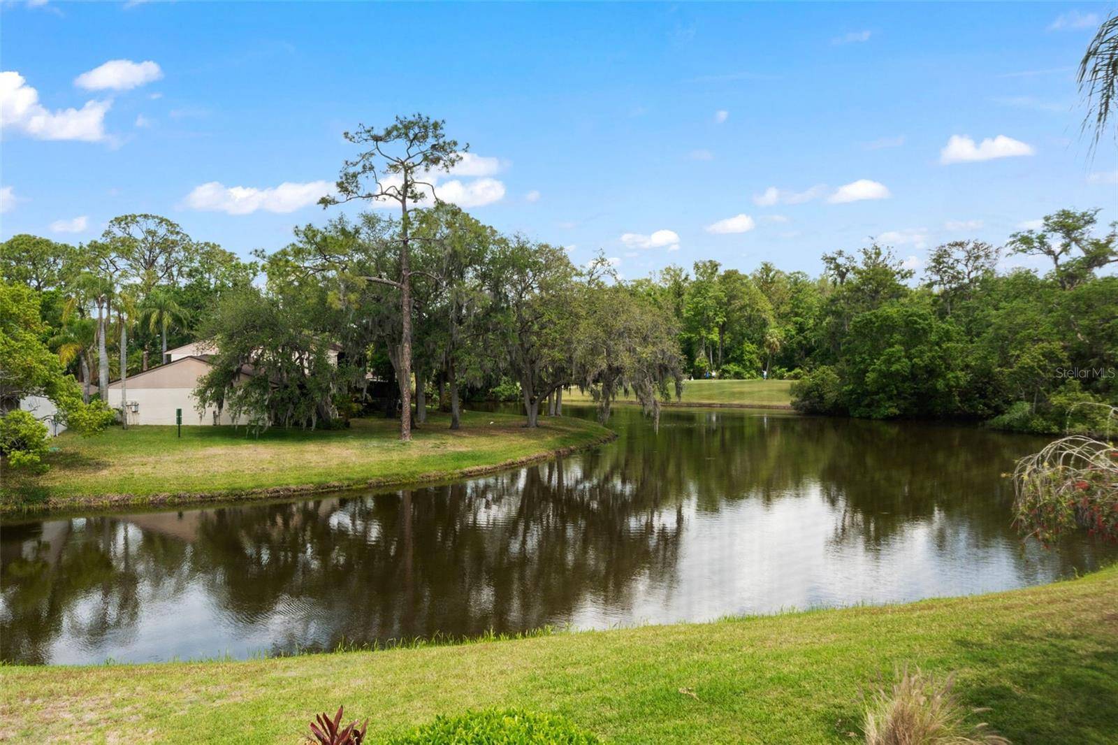 Oldsmar, FL 34677,170 INGRID PL