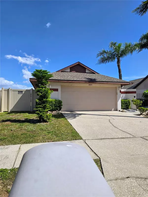 Tampa, FL 33635,10825 VENICE CIR