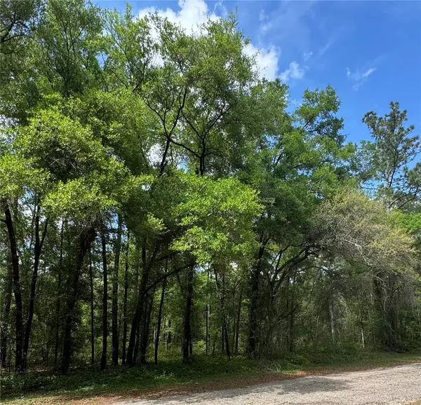 Dunnellon, FL 34434,433 E AVONDALE DR