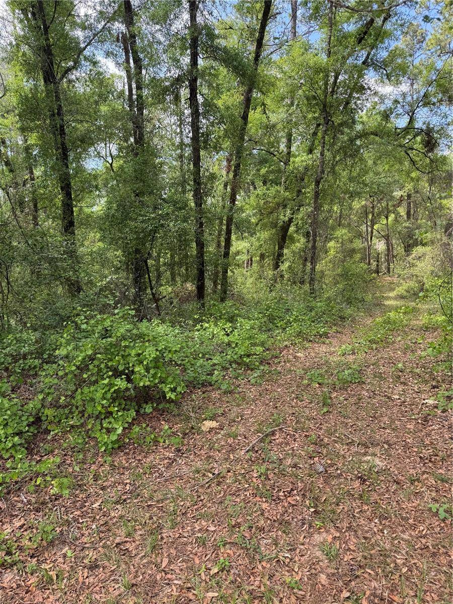 Dunnellon, FL 34434,455 E AVONDALE DR