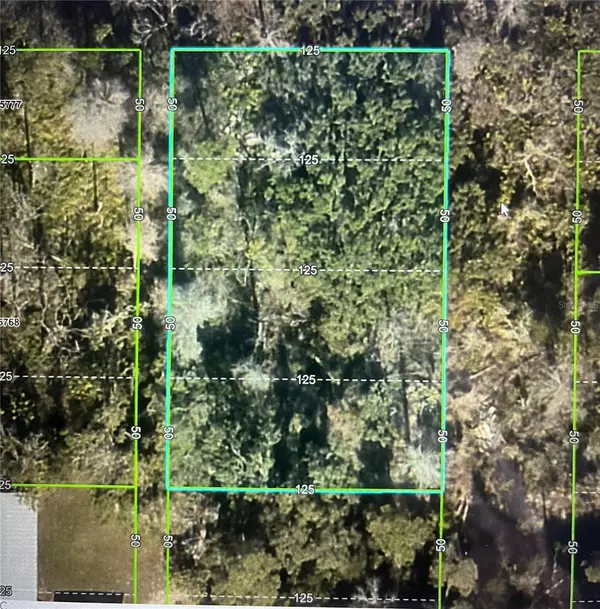 Spring Hill, FL 34606,LAS PALMAS AVE