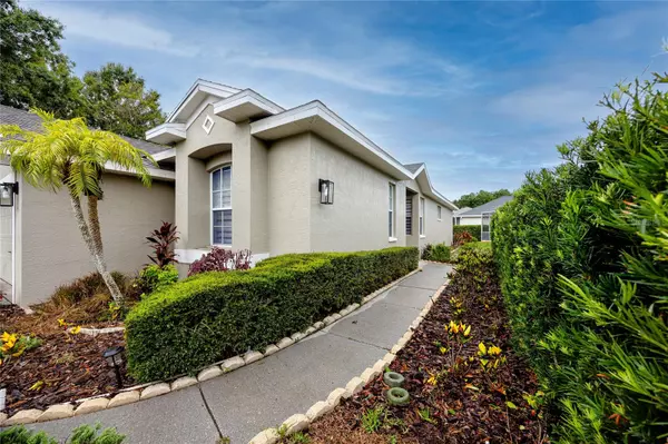 Palm Harbor, FL 34685,3726 RAIN TREE CT