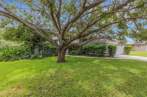 Zephyrhills, FL 33542,6434 LAURELWOOD DR