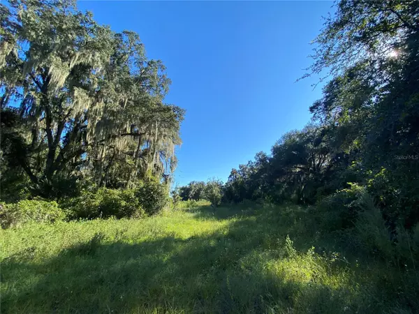 Floral City, FL 34436,7373 E SAVANNAH CT
