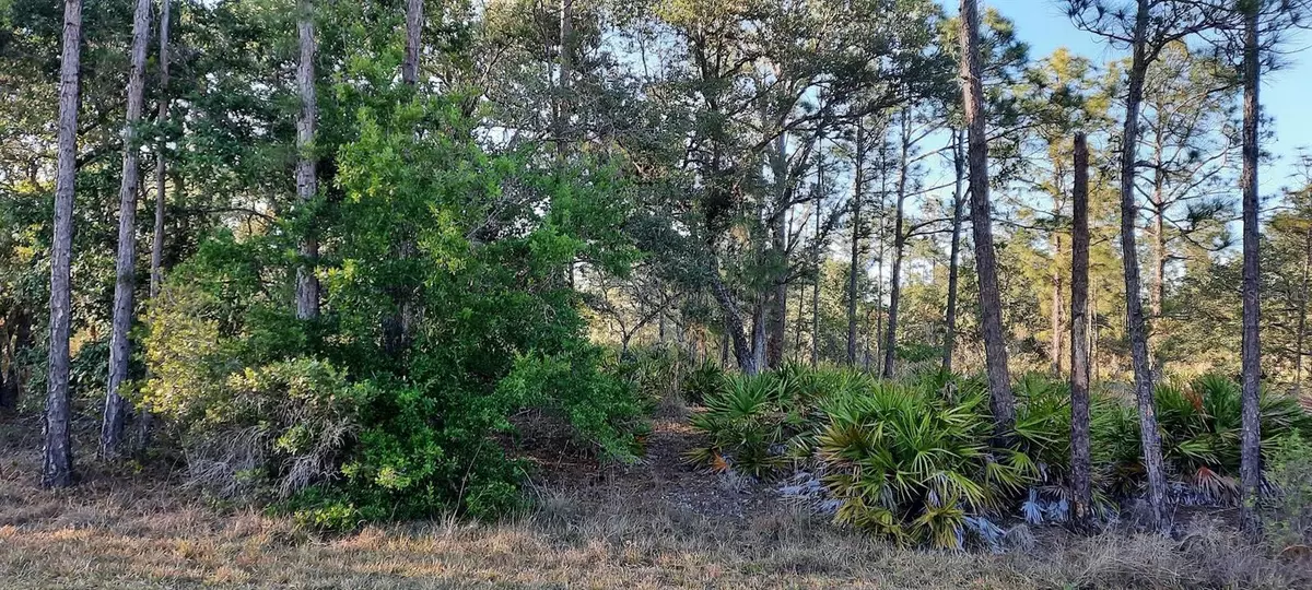 Indian Lake Estates, FL 33855,1012 JAPONICA DR