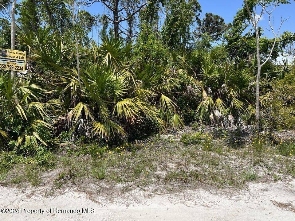St James City, FL 33956,3714 MYERS LN