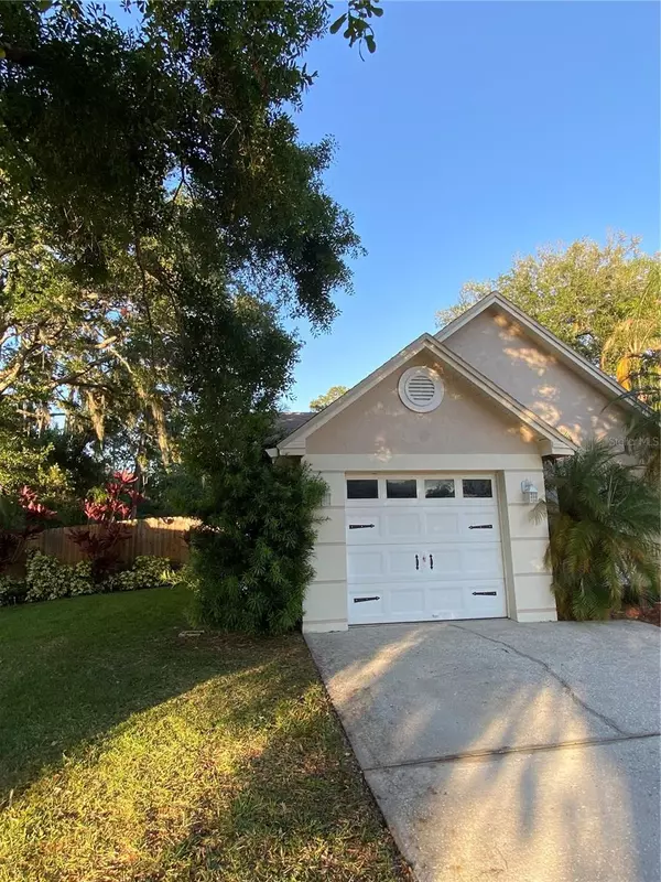 4504 CABBAGE PALM DR, Valrico, FL 33596