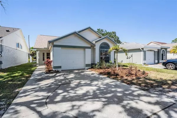 11639 SUNSHINE POND RD,  Tampa,  FL 33635