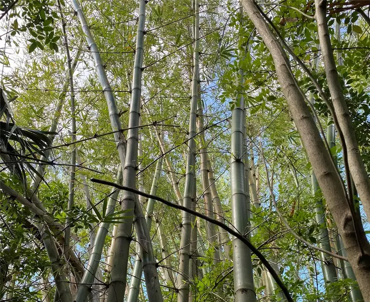 411 SOLONA ST, Punta Gorda, FL 33950