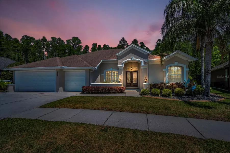 15229 WIND WHISPER DR, Odessa, FL 33556