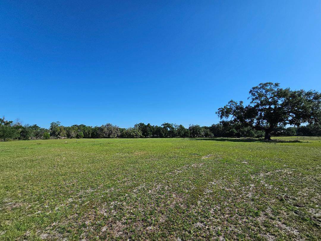 Dade City, FL 33523,ARENA RD