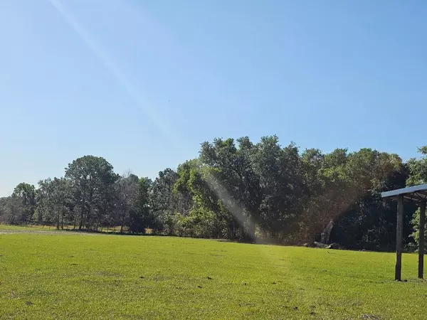 Dade City, FL 33523,ARENA RD