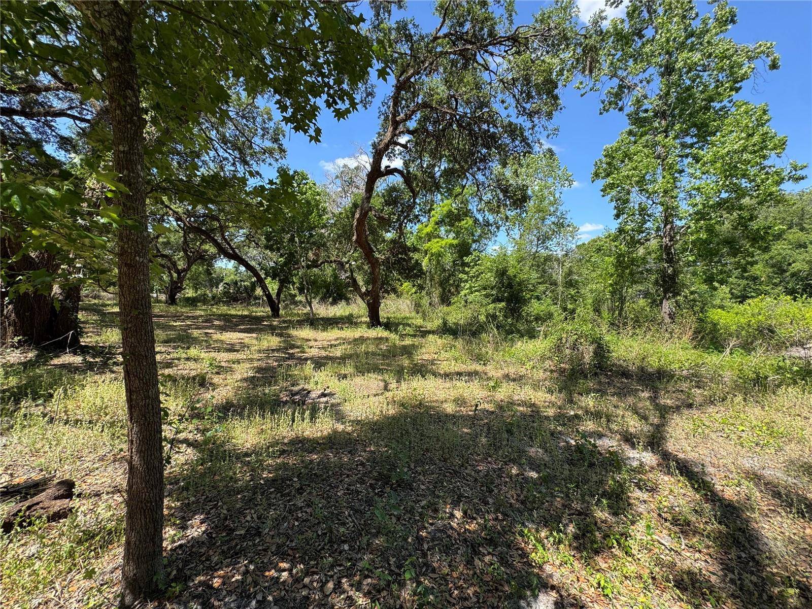 Dade City, FL 33523,TANNAHILL ST