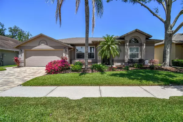 18533 AVOCET DR,  Lutz,  FL 33558