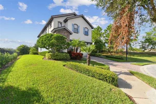 Palm Harbor, FL 34683,1341 MARINELLA DR