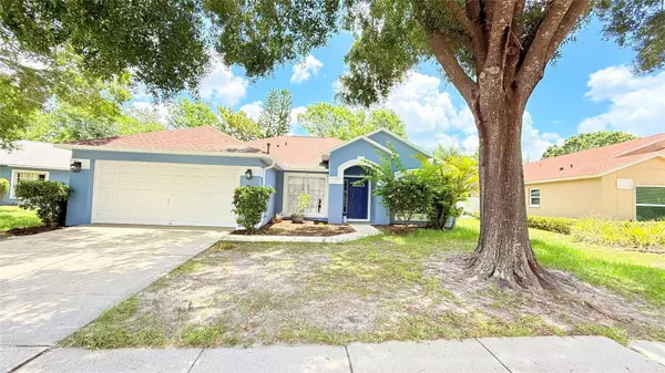 Wesley Chapel, FL 33543,28818 MIDNIGHT STAR LOOP
