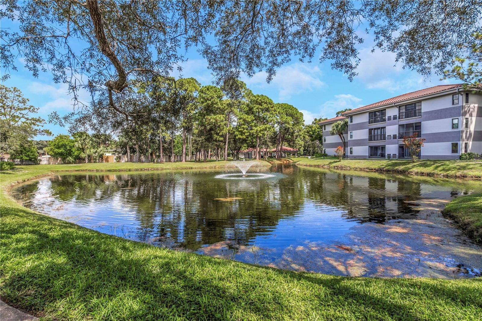 2650 COUNTRYSIDE BLVD #A104, Clearwater, FL 33761