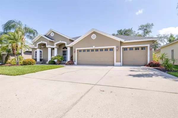 10016 OXFORD CHAPEL DR, Tampa, FL 33647