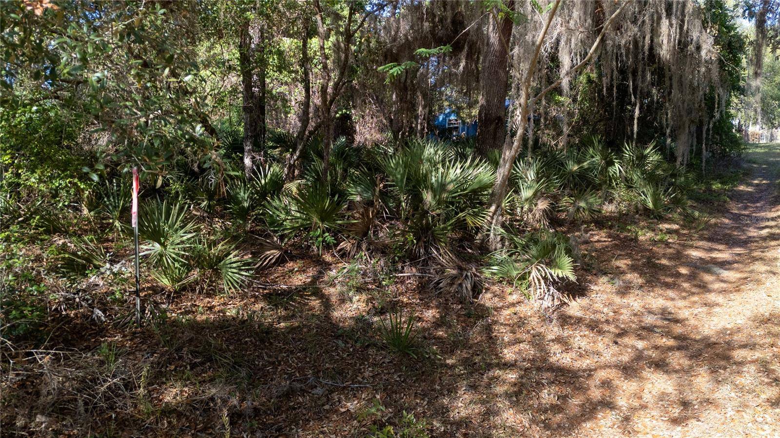Fort Mc Coy, FL 32134,0 NE 206 ST