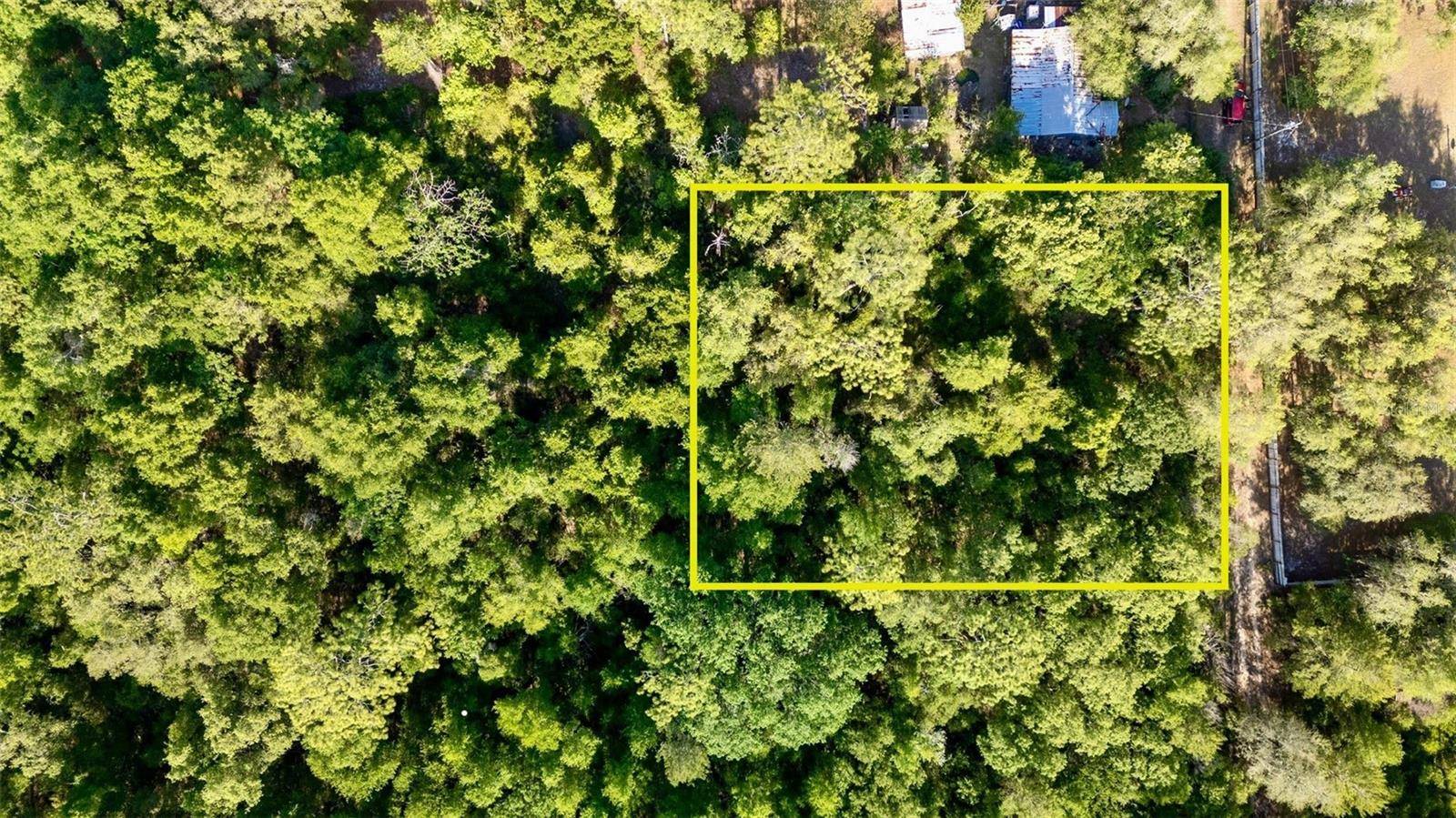 Fort Mc Coy, FL 32134,0 NE 206 ST