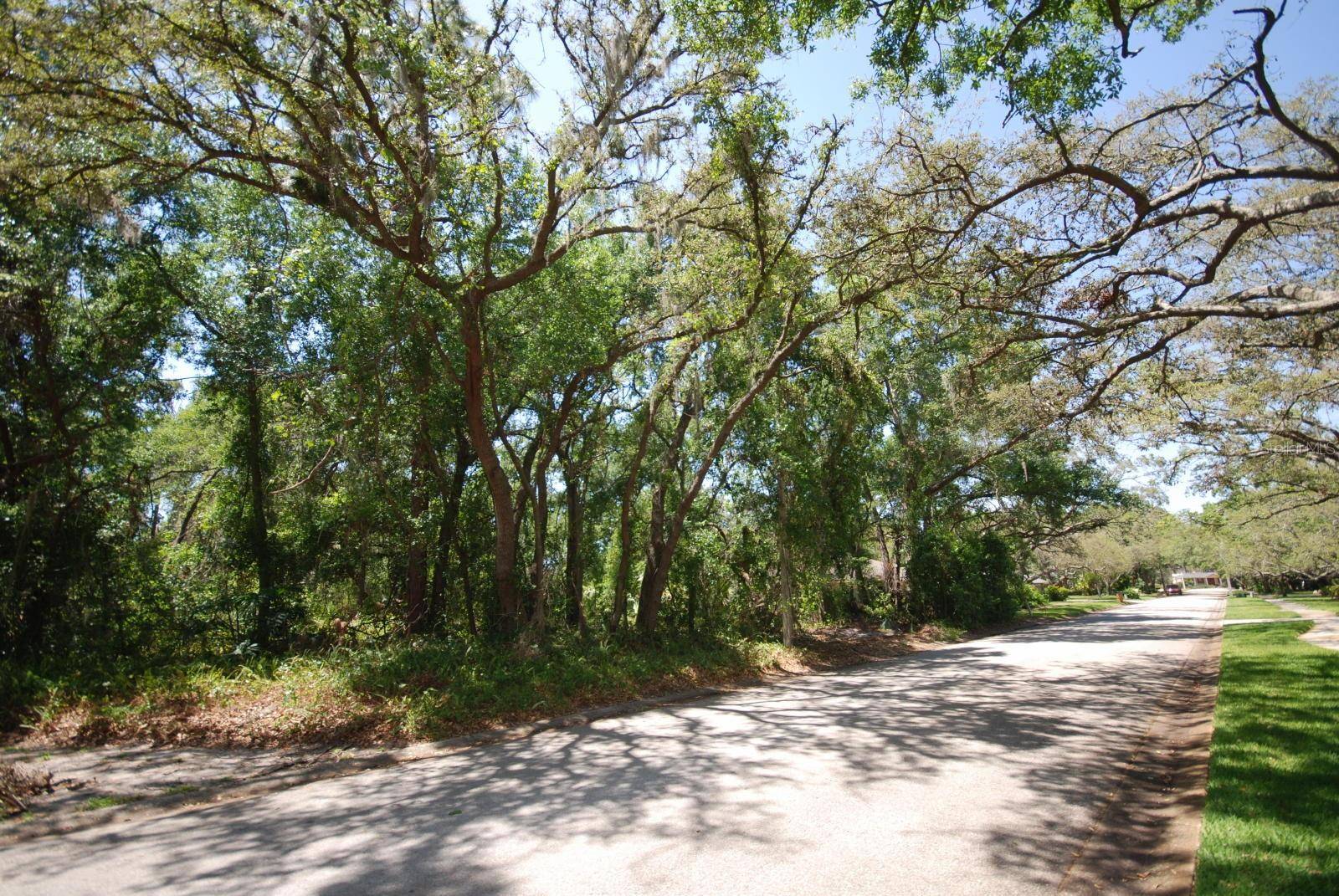 2905 CHELSEA WOODS DR, Valrico, FL 33596