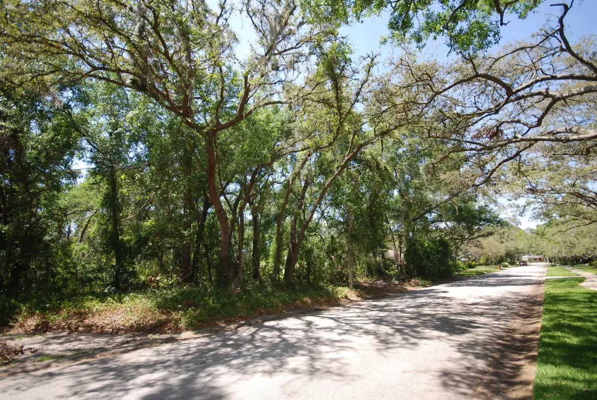 Valrico, FL 33596,2905 CHELSEA WOODS DR