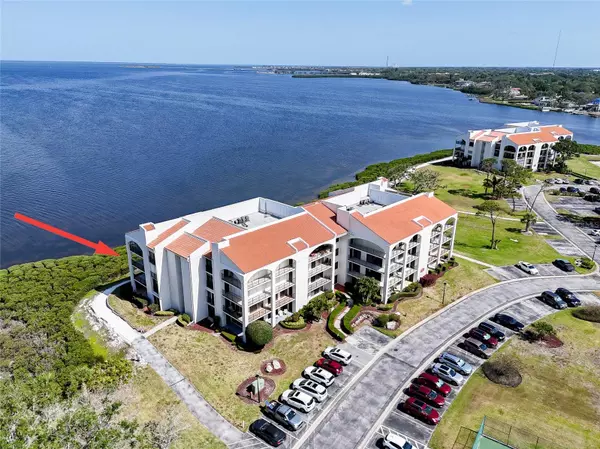 Tarpon Springs, FL 34689,433 MARINER DR #433