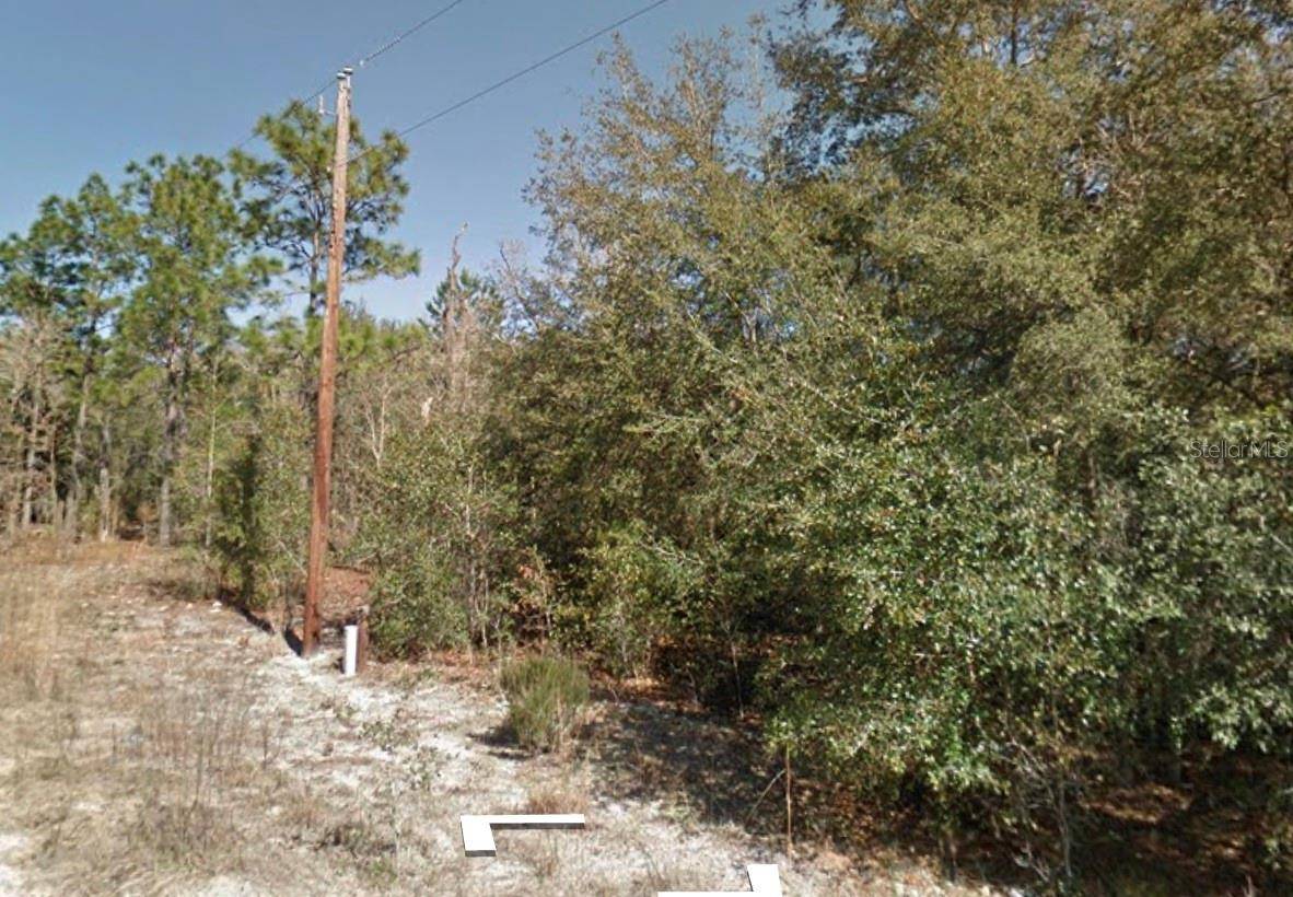 Interlachen, FL 32148,106 JAMES AVE