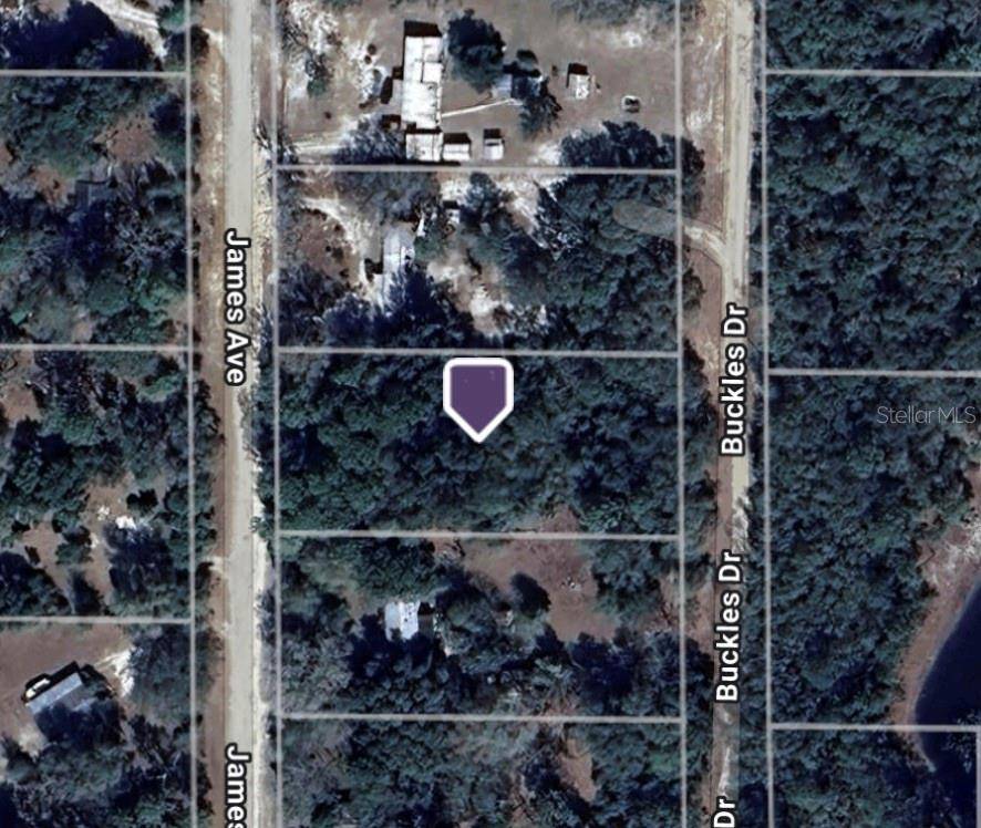 106 JAMES AVE, Interlachen, FL 32148