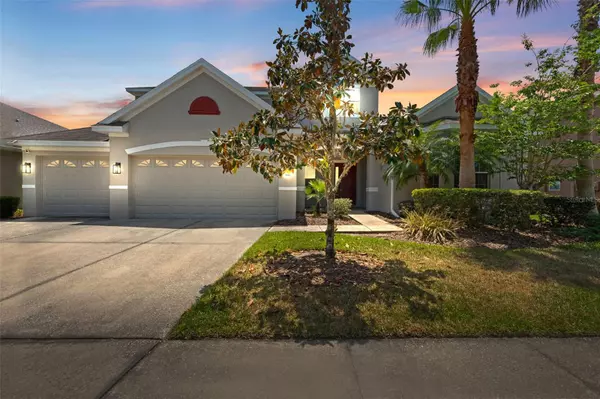 10511 MISTFLOWER LN, Tampa, FL 33647