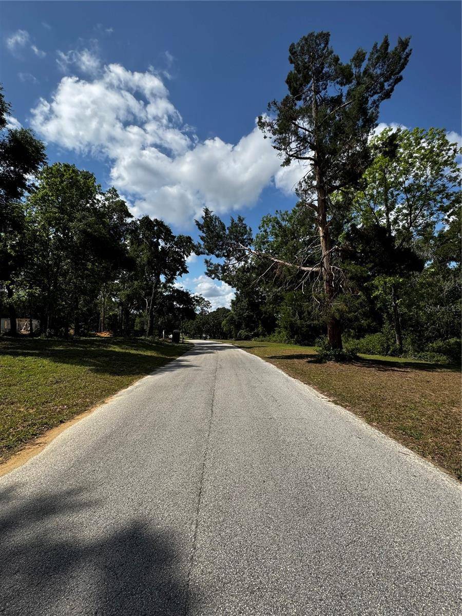 Brooksville, FL 34602,1103 SAVANNAH OAKS DR