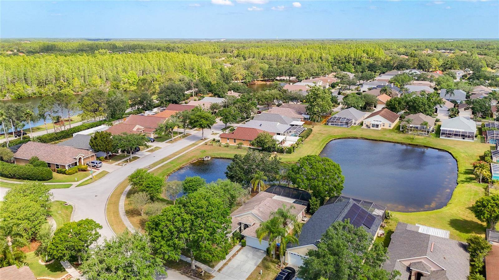Lutz, FL 33558,19227 GARDEN QUILT CIR