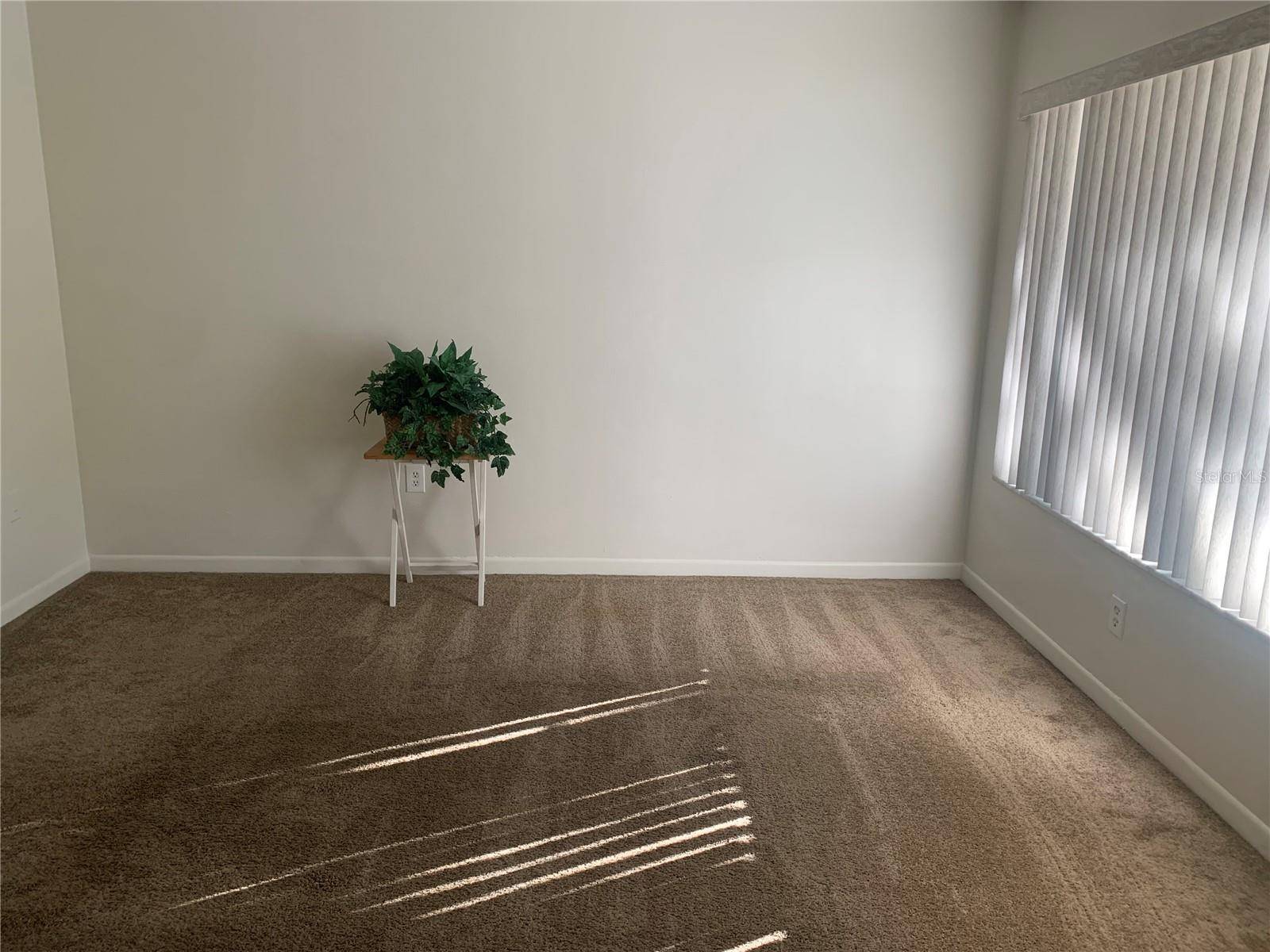 Clearwater, FL 33755,1257 DREW ST #15