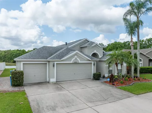 Wesley Chapel, FL 33543,29542 FOREST GLEN DR