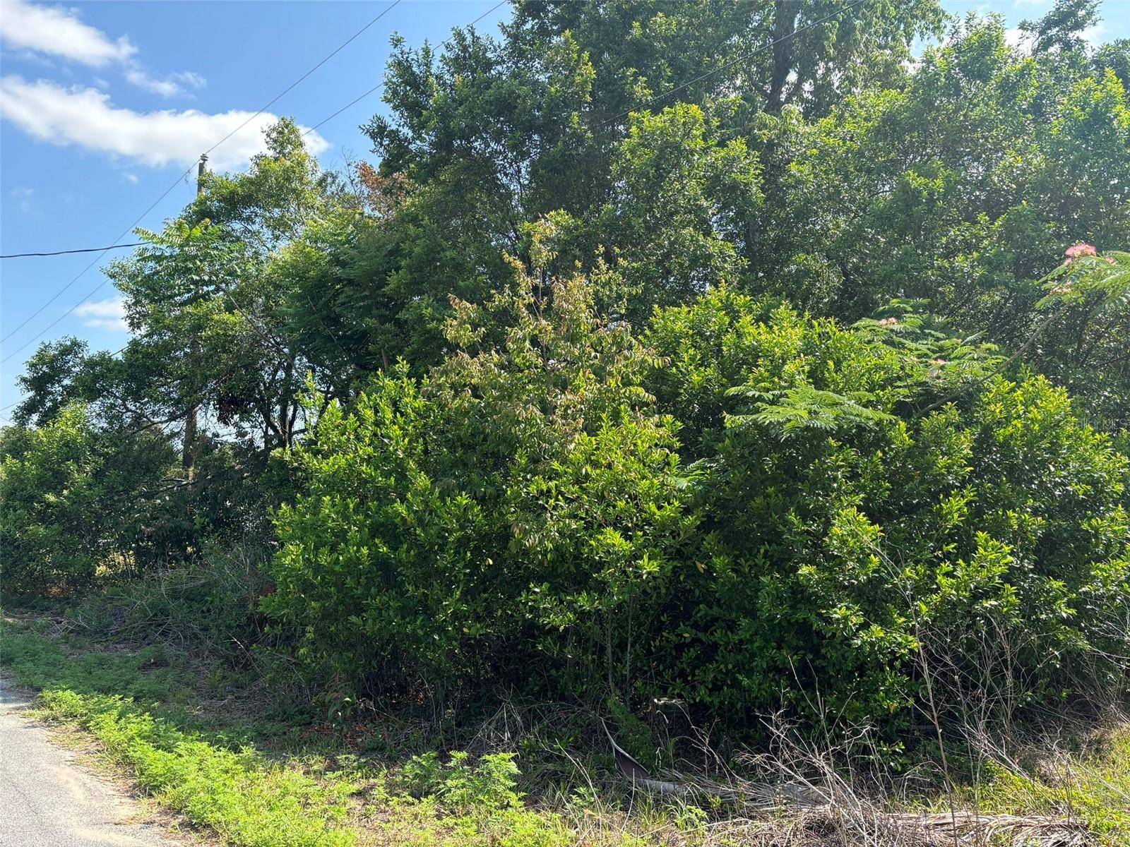 Spring Hill, FL 34608,11229 GIFFORD DR