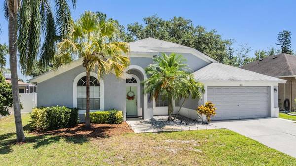 18013 PALM BREEZE DR, Tampa, FL 33647