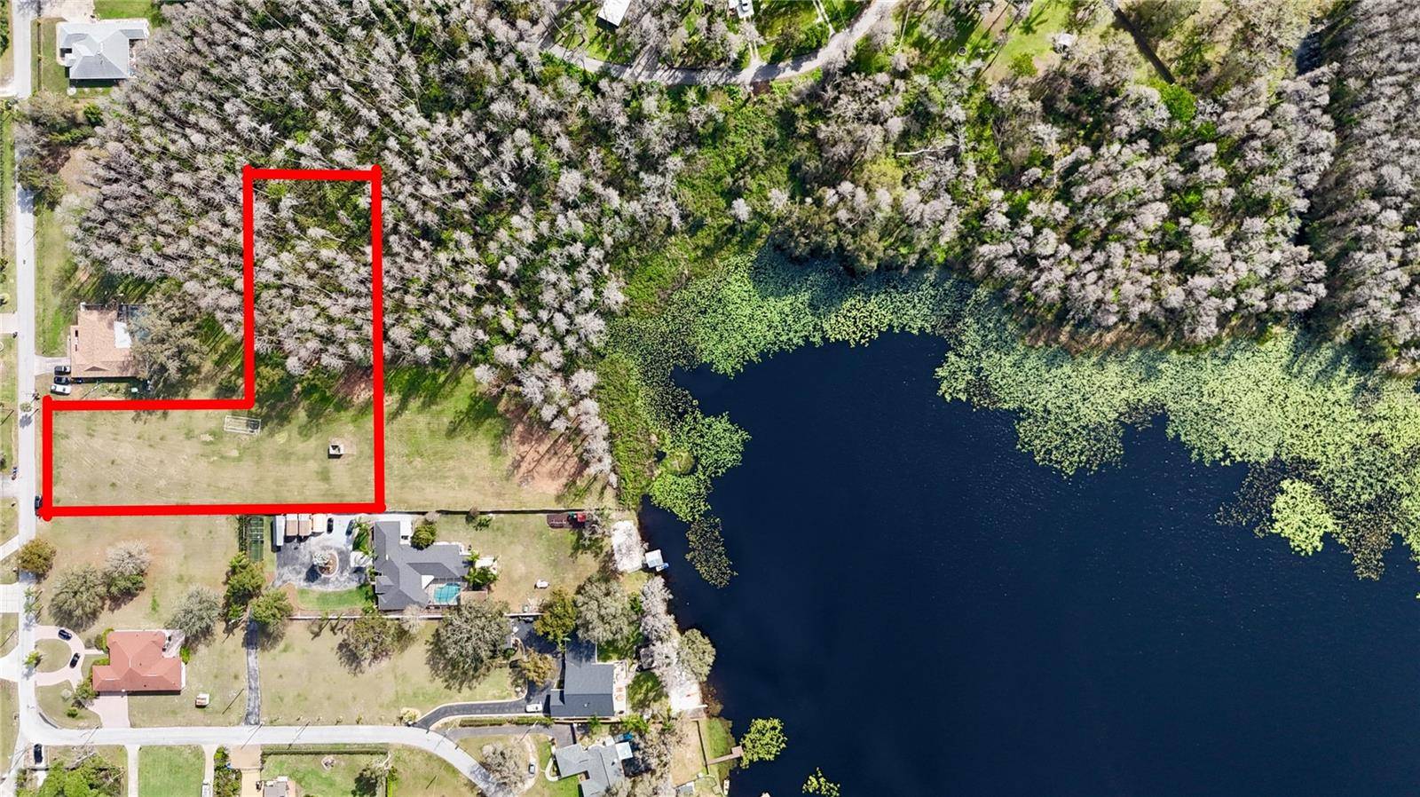 AURALEE ACRES LOT 2 BLOUNT RD, Lutz, FL 33558