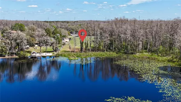 Lutz, FL 33558,AURALEE ACRES LOT 3 BLOUNT RD
