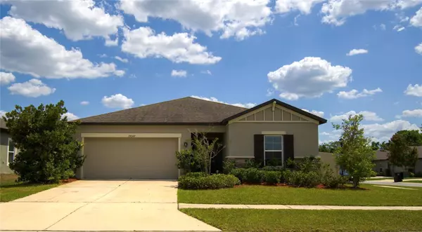 19047 ALFARO LOOP, Spring Hill, FL 34610
