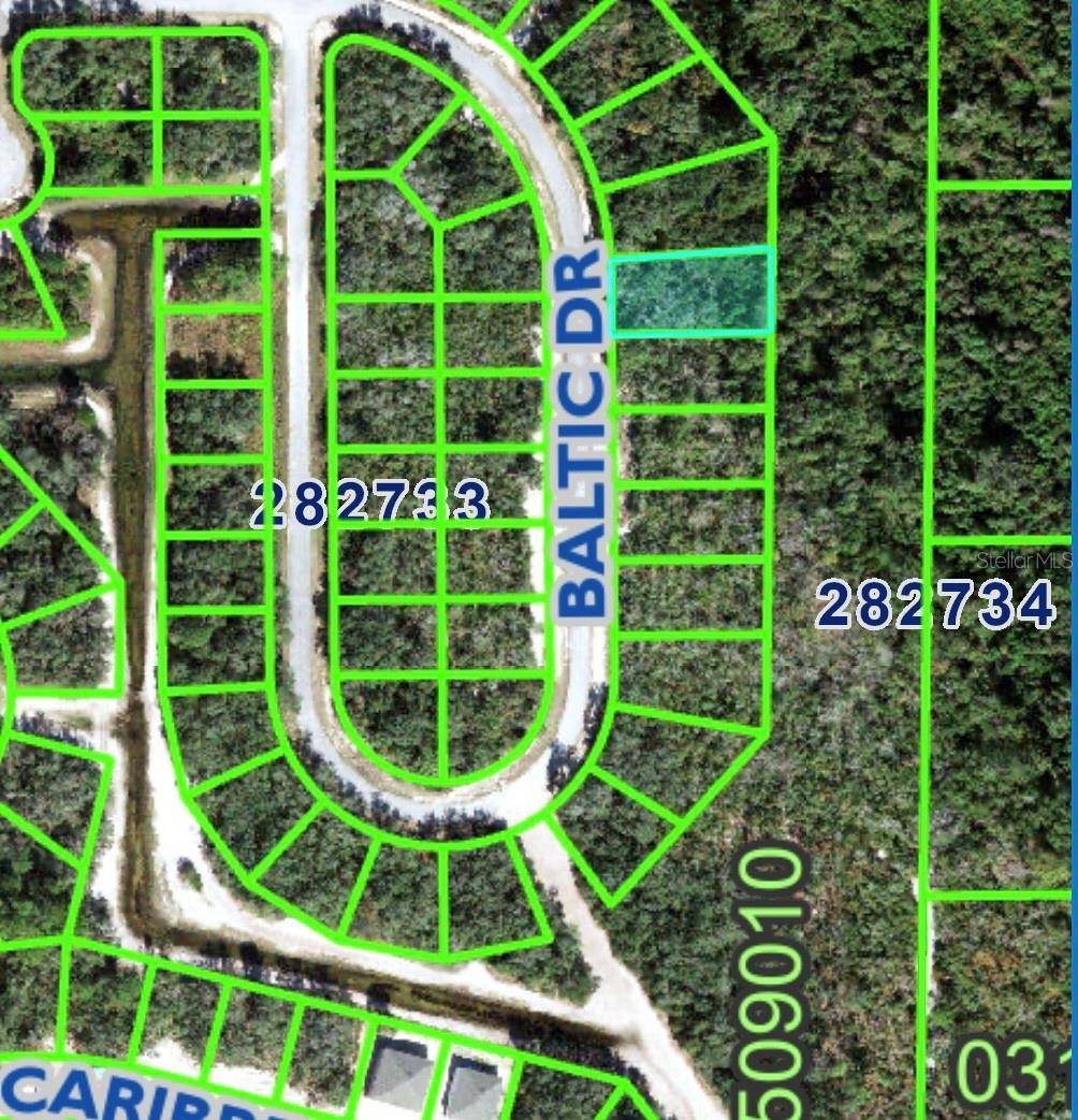 1237 BALTIC DR, Kissimmee, FL 34759